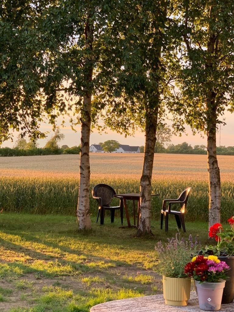 Romantic Luxus Glamping 1 Idestrup Eksteriør billede